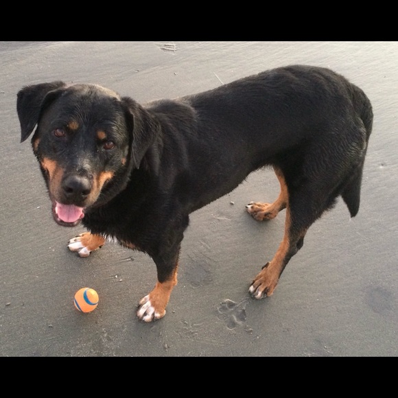 Meet your Posher, Jennifer - Picture 2 of 6